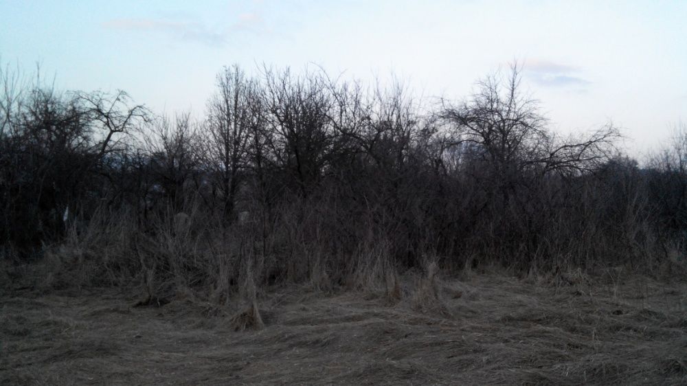 Розчищення вирівнювання ділянки, Зрізання дерев Прибирання Демонтаж