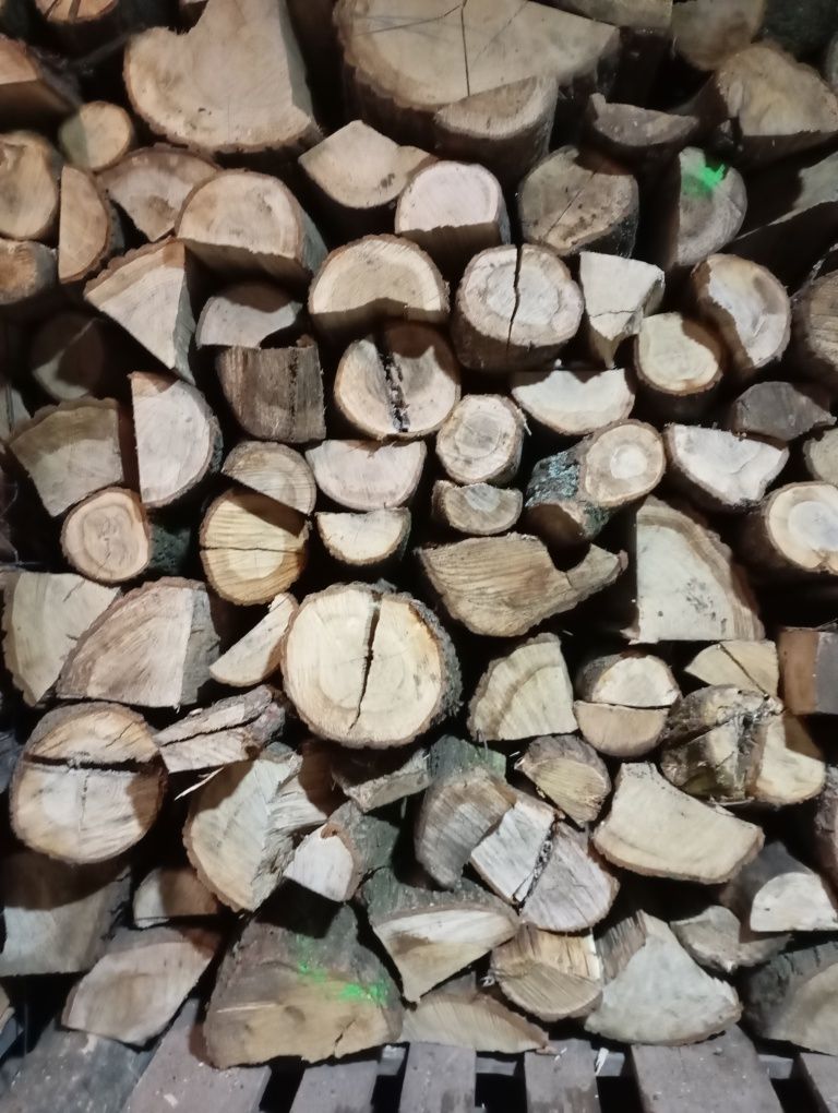 DĄB drewno kominkowe