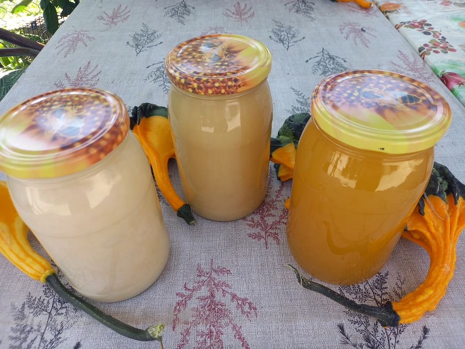 Miód tegoroczny różne rodzaje