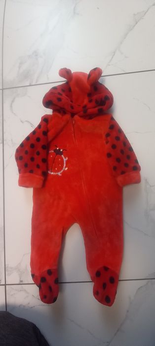 Махровий чоловічок