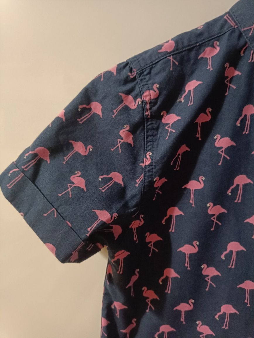 Koszula wizytowa 116 flamingi Primark