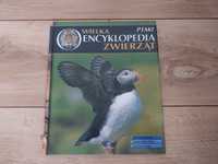Książka Wielka encyklopedia zwierząt - ptaki
