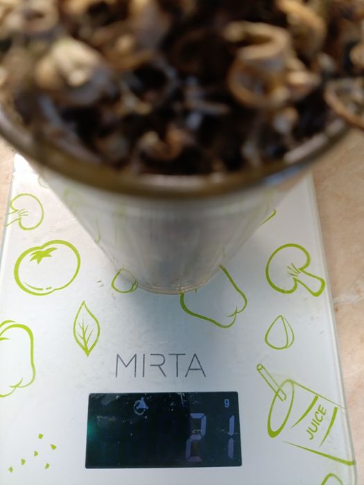 Насіння календули