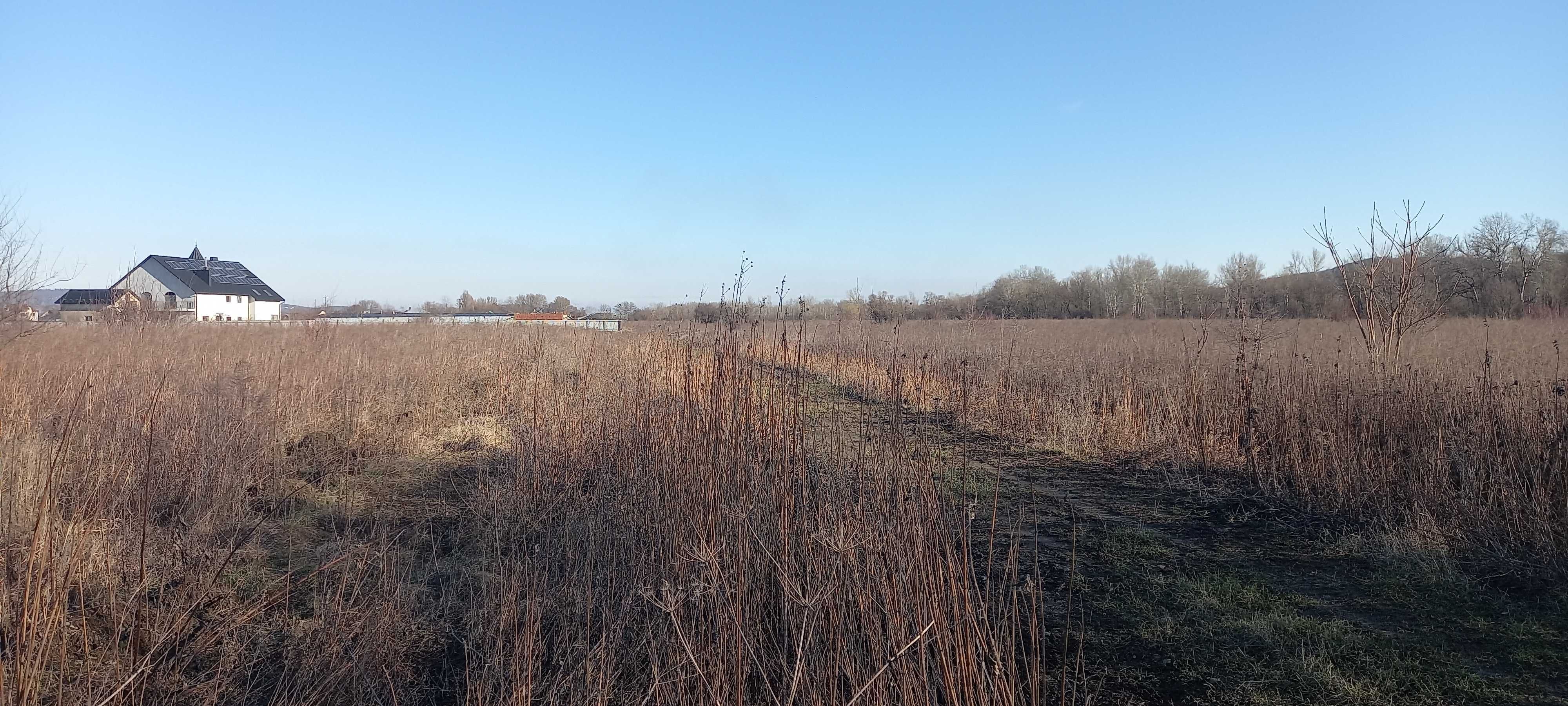 Земельна ділянка сільськогосподарського призначення.