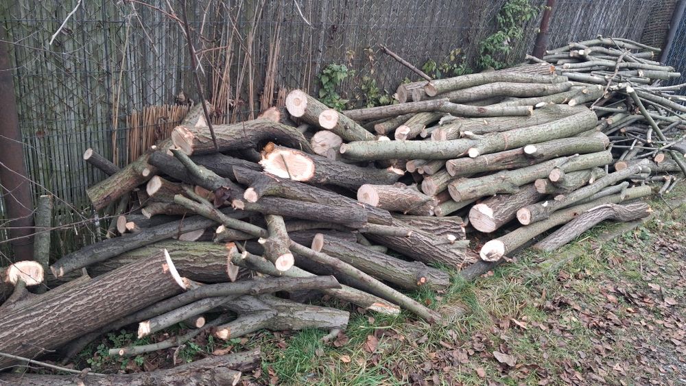 Drewno na opał czesciowo pociete na klocki