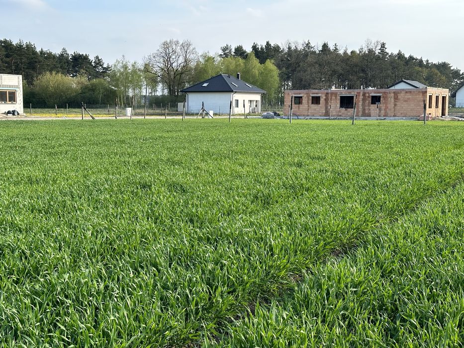 Działka budowlana Zławieś Mała 1017mkw