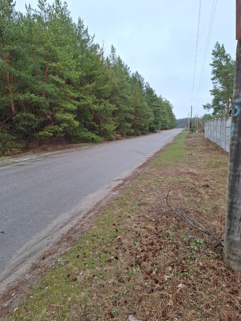 Будинок в с.Тимченки. 40 соток землі. Асфальтований підїзд.