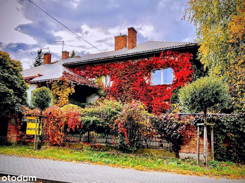 Wygodny dom – dwa niezależne wejścia oraz oddzielny duży garaż