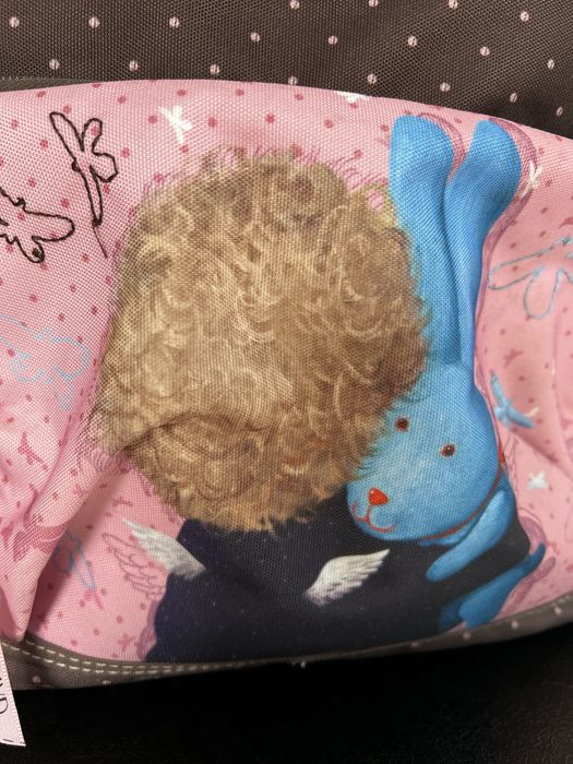 Рюкзак портфель Гапчинская Gapchinska Kite