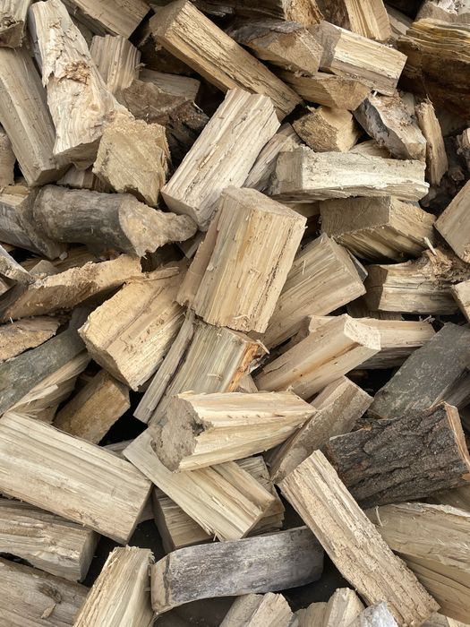 Тополь колатий дрова доставка