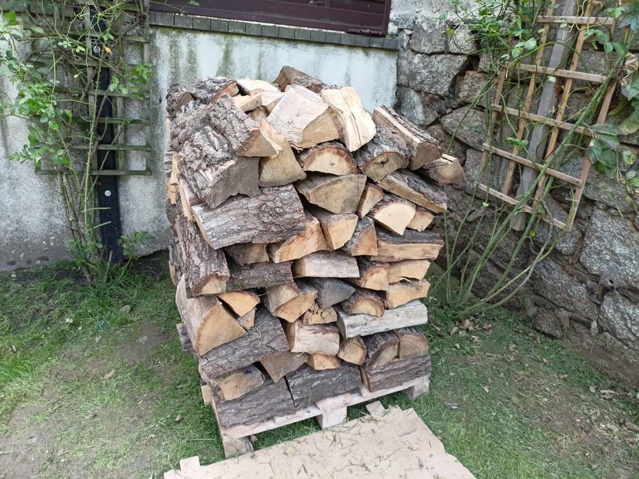 Drzewo opałowe suche Dąb, klon-jawor