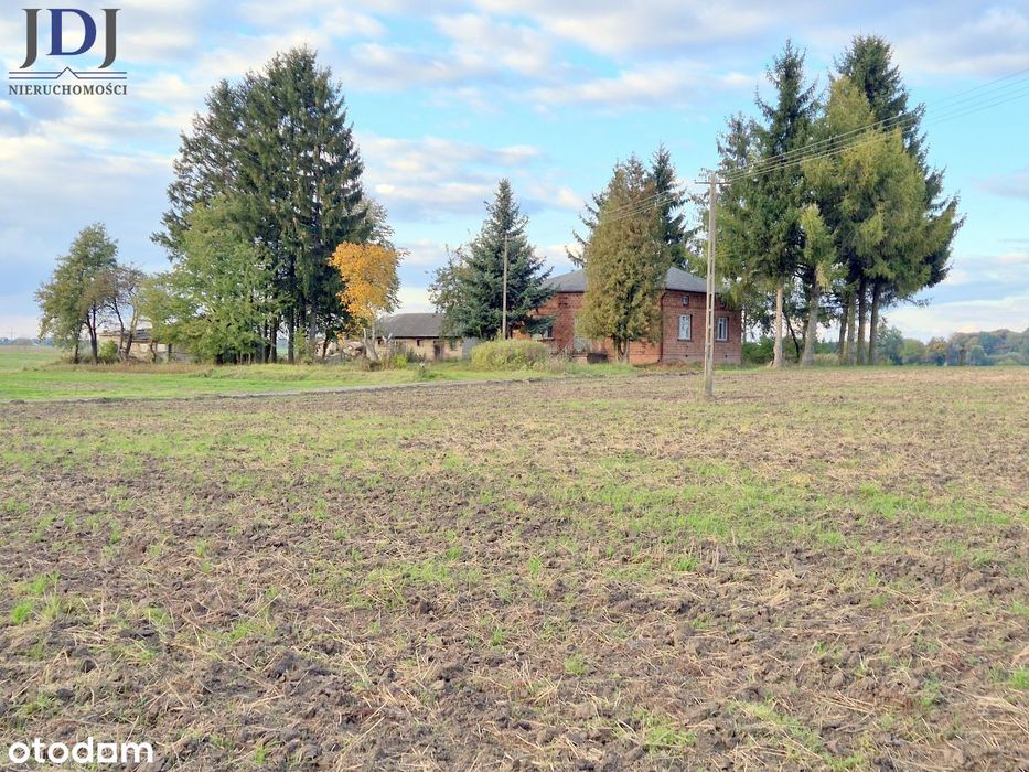 Dom bez sąsiadów, w otulinie drzew