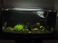 Akwarium 200 litrów