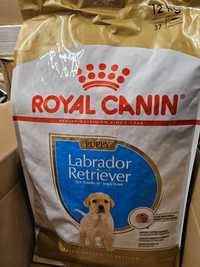 Labrador retriver royal canin
