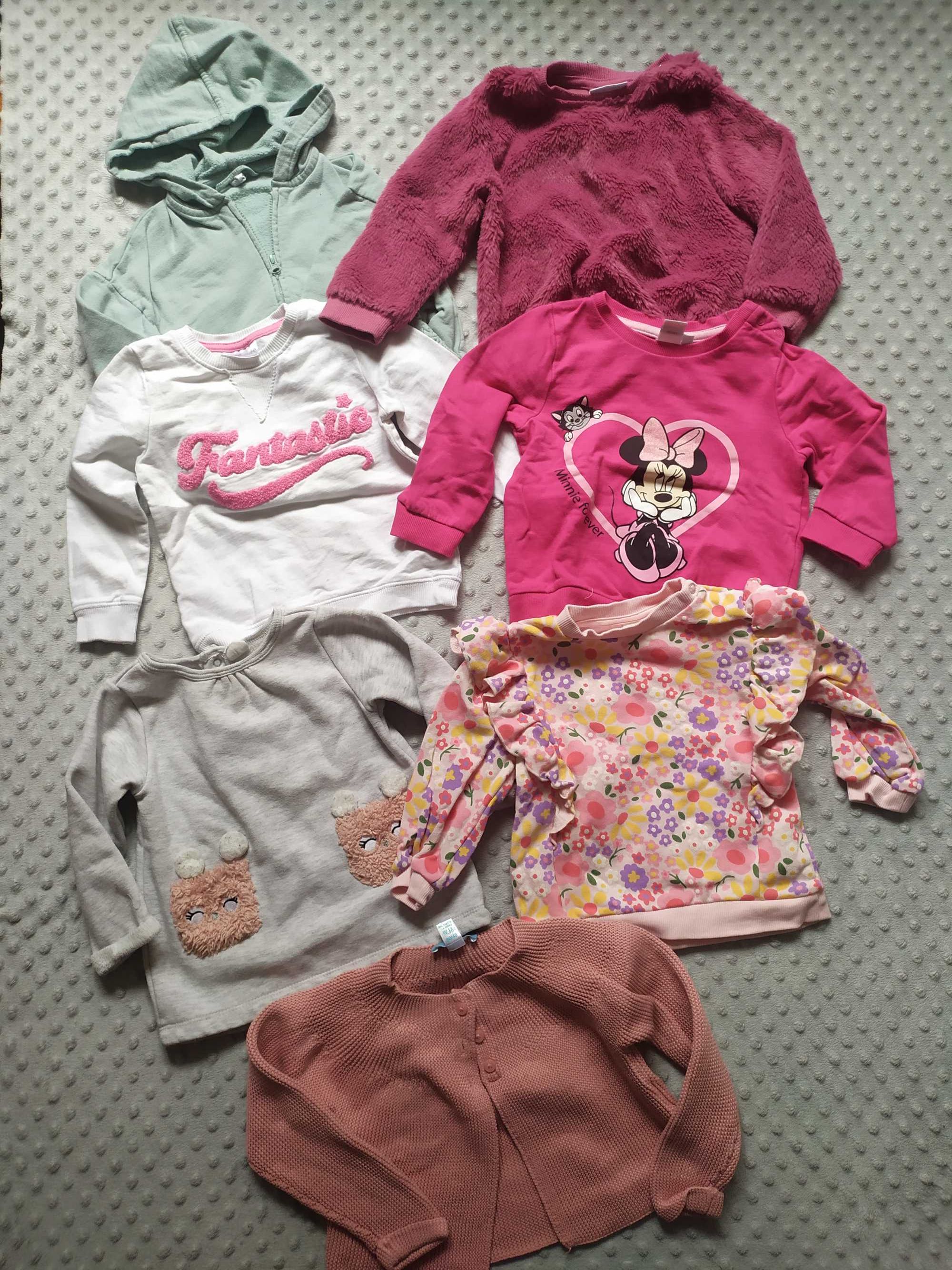 Bluzy dziewczęce H&M Lupilu Disney baby 80