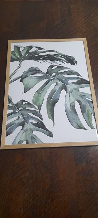 Moldura / Poster 50 × 70 (novo)