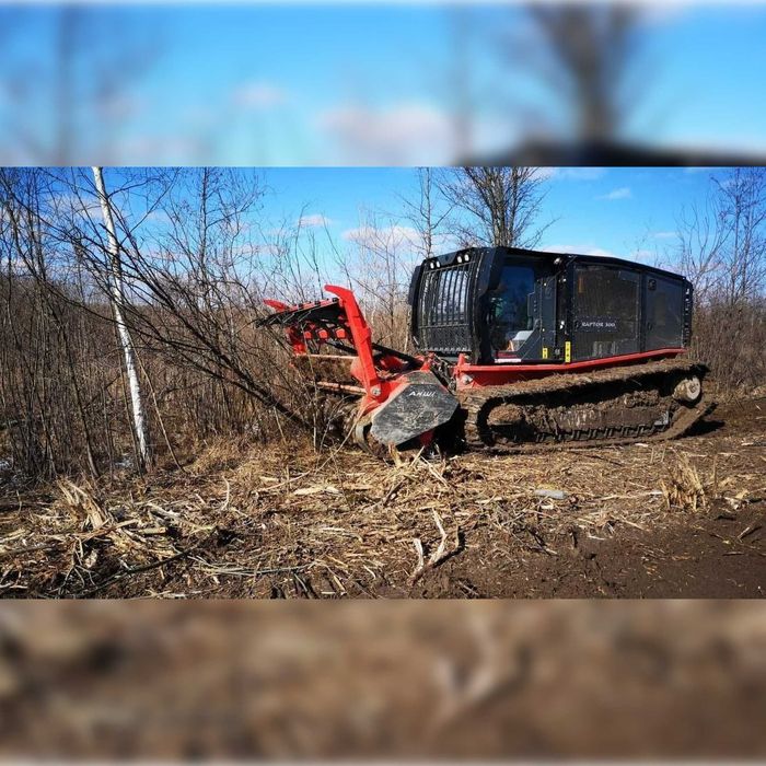 Расчистка участка + розліснення земельної ділянки - корчування