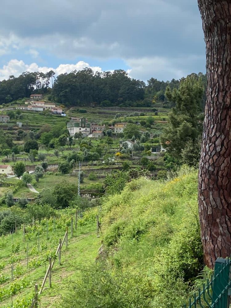 Quinta no Douro com moradia para reconstruir