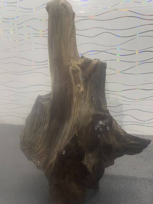 Korzeń do akwarium lub terarium