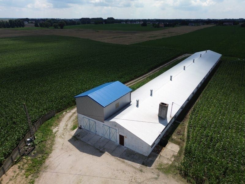 Hala kurnik 860m2 + wiata + działka 0,54ha