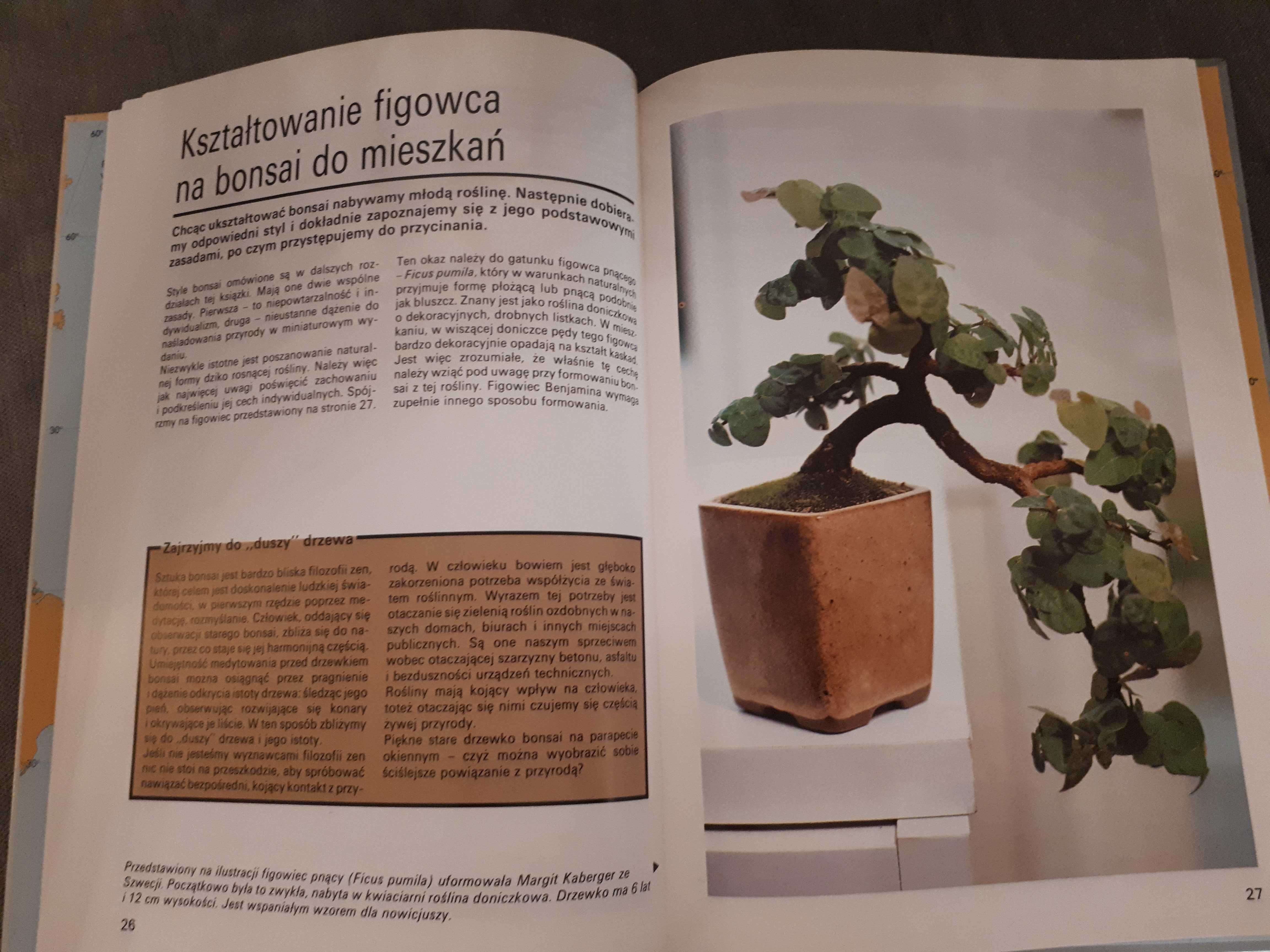 Bonsai - z serii Rośliny w domu