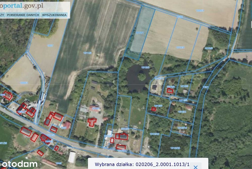 Działka zagrodowa 30 ar Janczowice km. Jaźwina gm. Łagiewniki