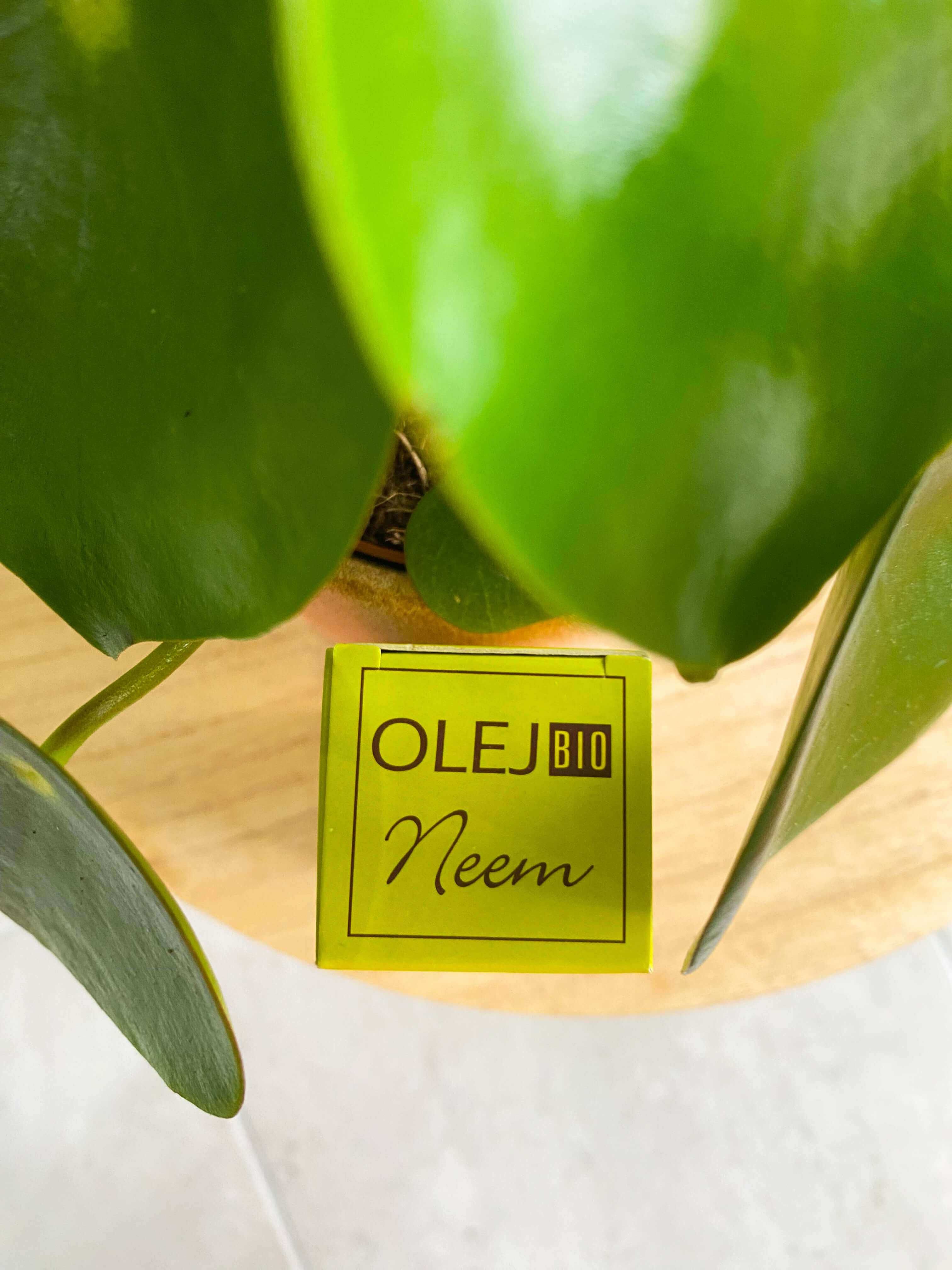 Naturalny olejek Neem 50 ml - do czyszczenia liści roślin