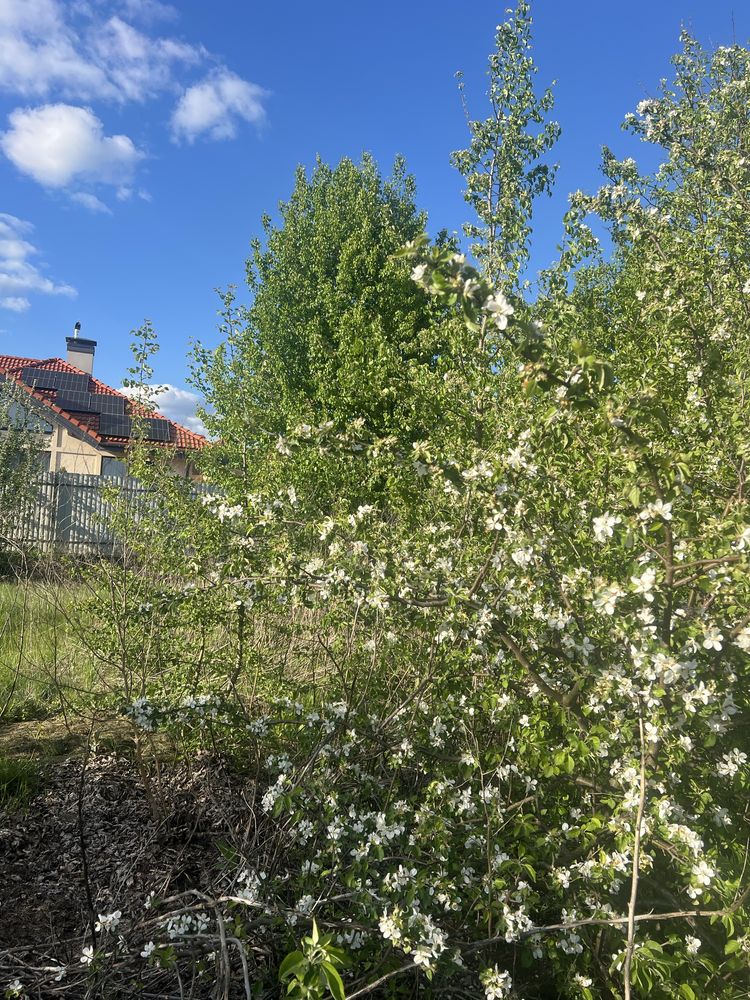 Продаю ділянку 12 соток у Межріччі Вишгородського р-ну