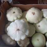 Patisony 2 kilogramy