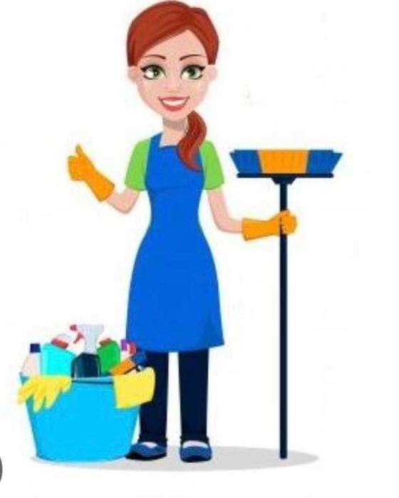 Posprzątam mieszkanie umyje okna