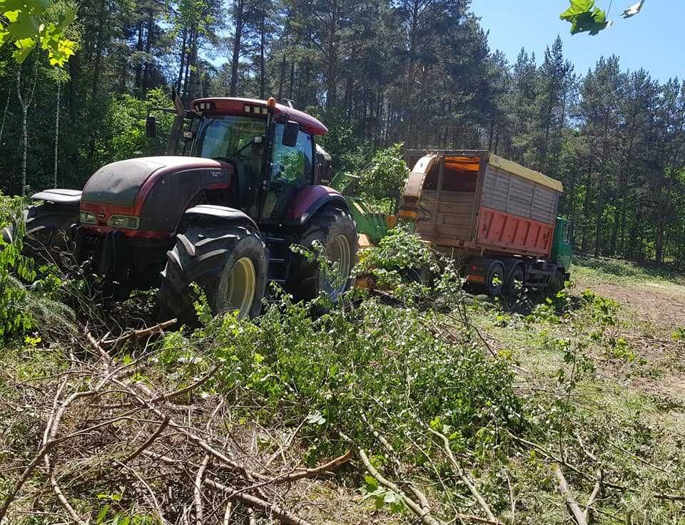 WYCINKA DRZEW, rębak, skup lasów, gałęzi, biomasy-mulczer z lasu pole