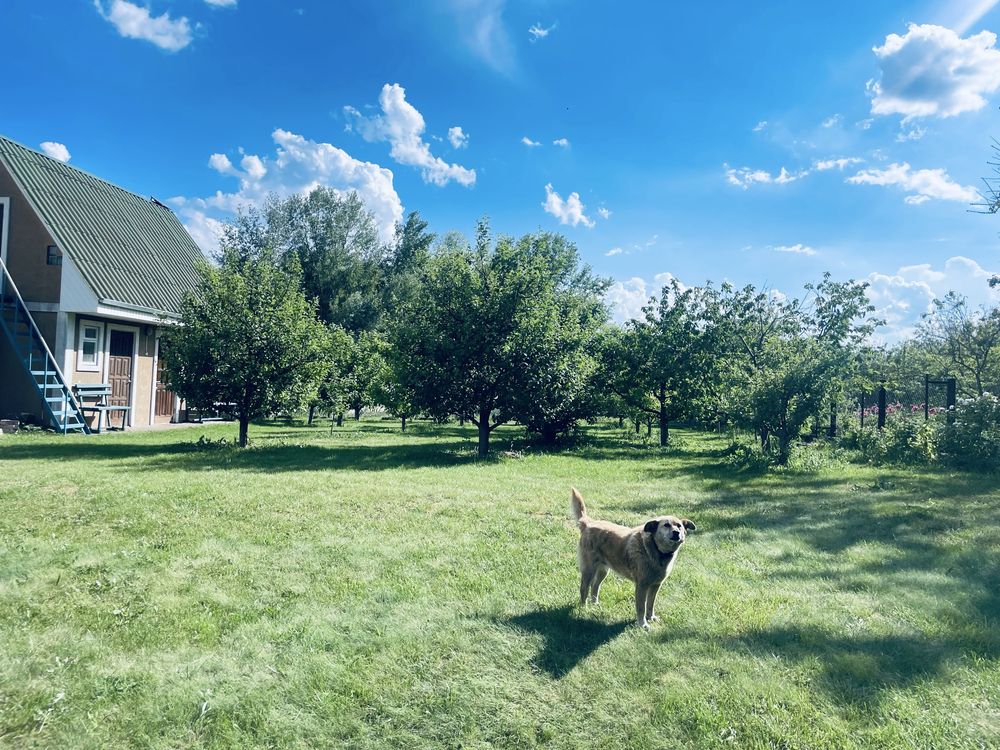 Продам земельну ділянку по вул. Набережна
