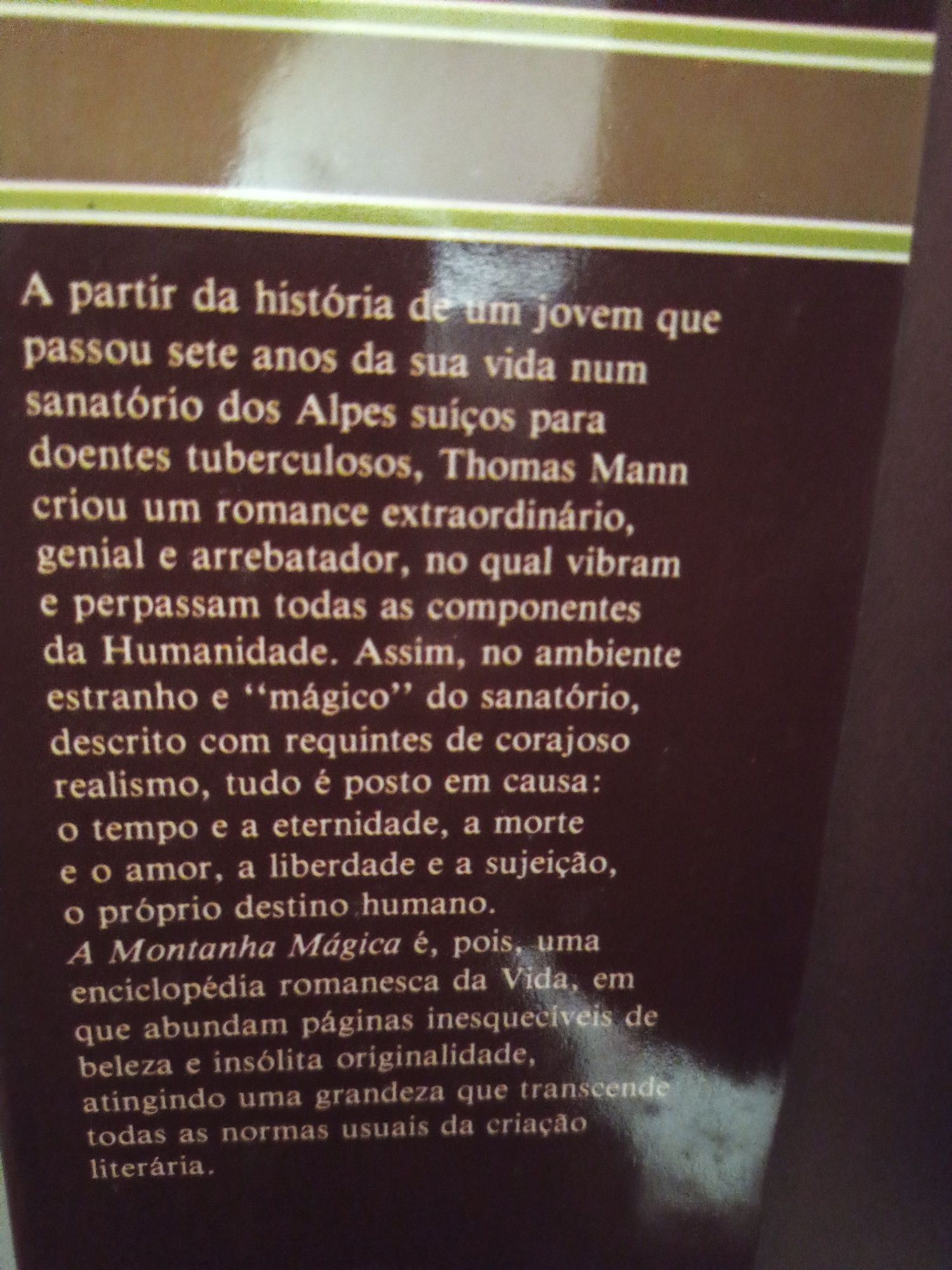 Promoção Relâmpago -> A Montanha Mágica, de Thomas Mann - 1ª Edição
