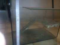 Akwarium dla gryzoni , terrarium