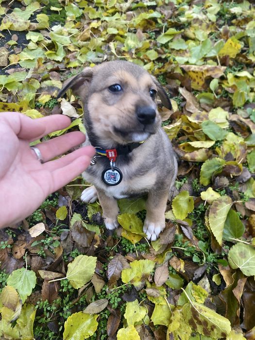 Хлопчики в добрі ручки