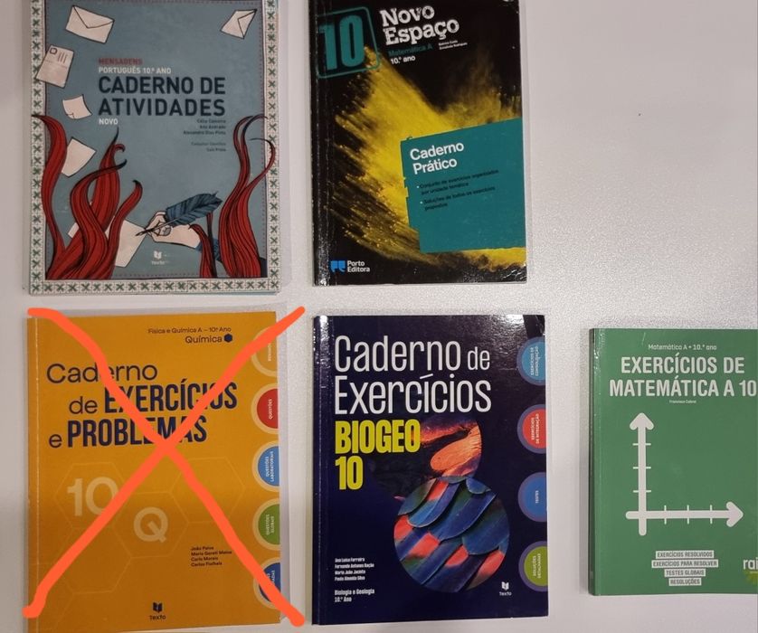 Livros Manuais Cadernos de exercícios e atividades  - 10º Ano