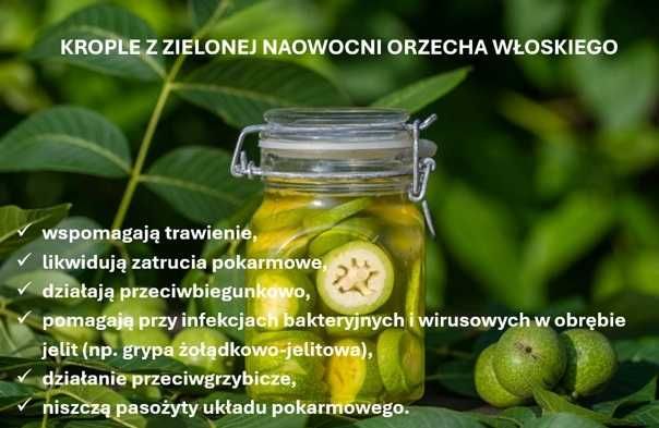 Nalewka z orzecha włoskiego