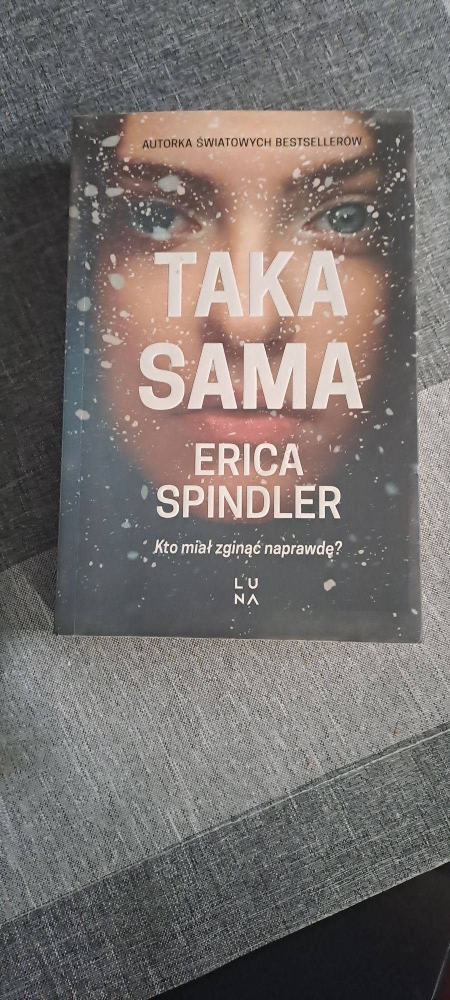 Taka sama Erica Spindler