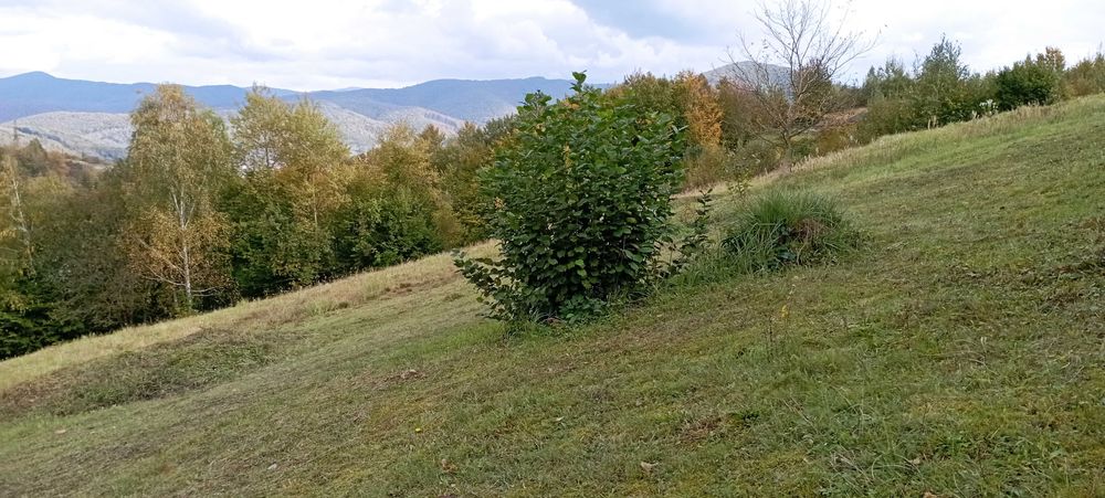 Чудова ділянка у чудовому місці на курорті Поляна Закарпатська область