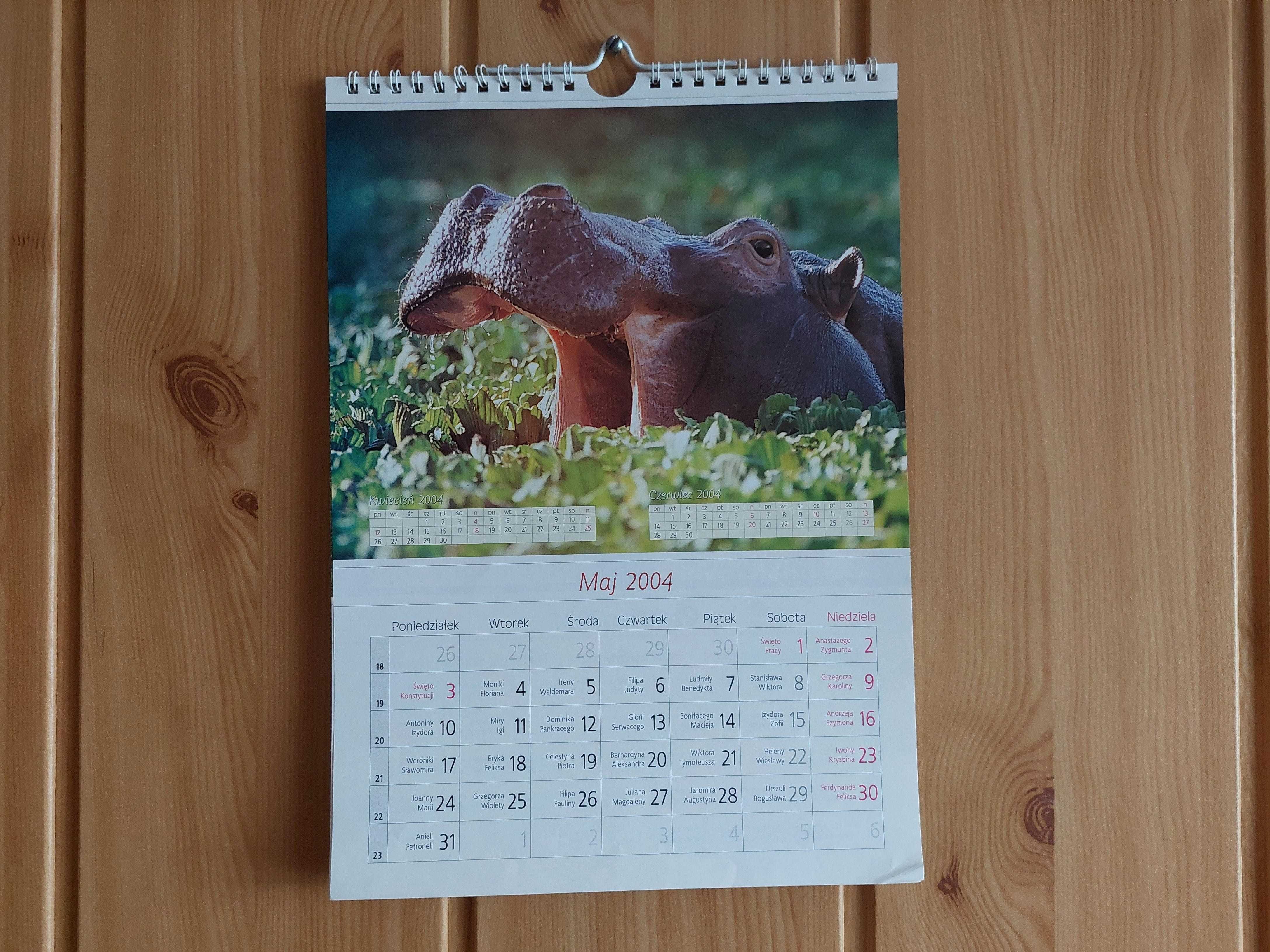 Kalendarz - Zwierzęta Świata (2004)