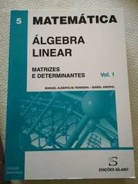 Livro algébra linear