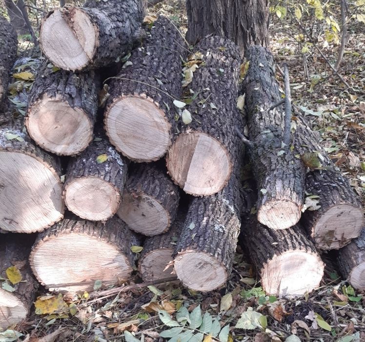 Продам дрова твердых пород
