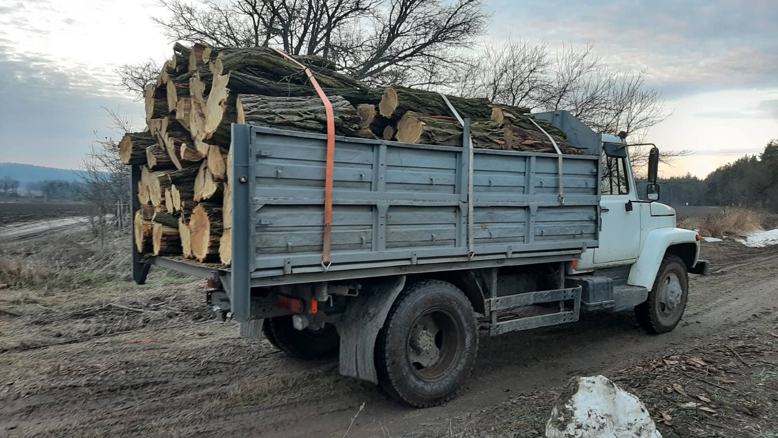 Дрова метровки та рубані