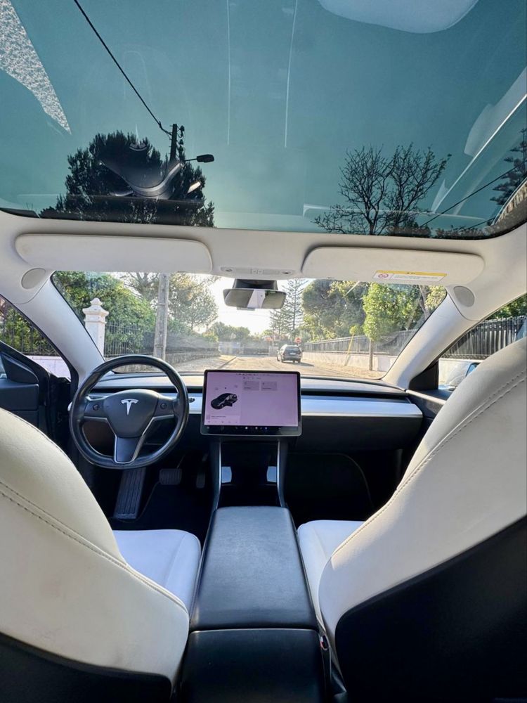 Tesla Model 3  Dual motor