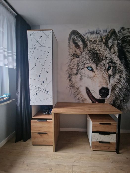 Zestaw do pokoju dziecięcego i młodzieżowego regal,biurko,szafka Urban