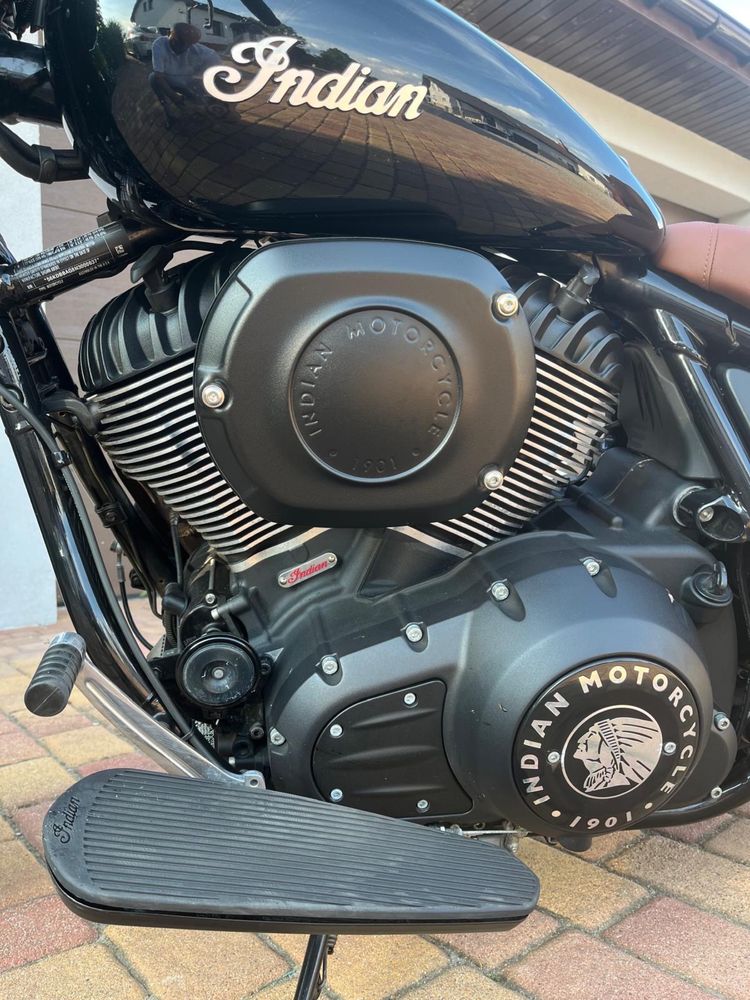 Indian chief dark horse