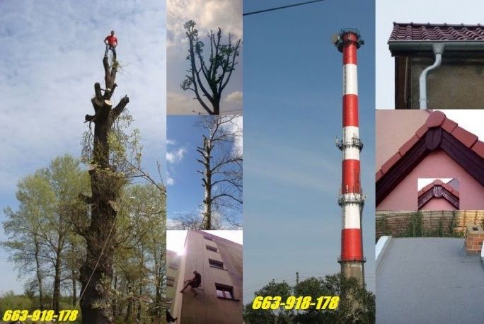 !! Wycinka drzew, przycinka, mycie elewacji, dachów  !!!