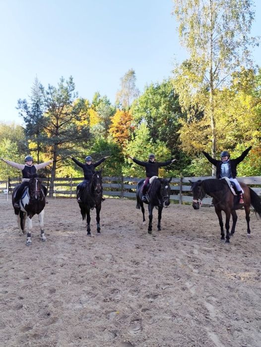 Jazda konna Linia Stajnia u kamila