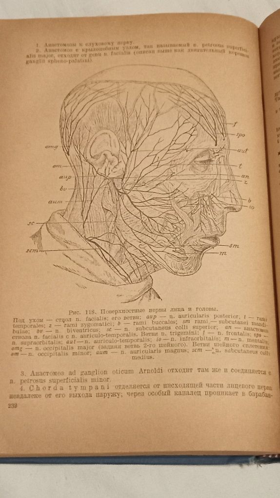 Д. Зернов. 1938г. Анатомия Человека.