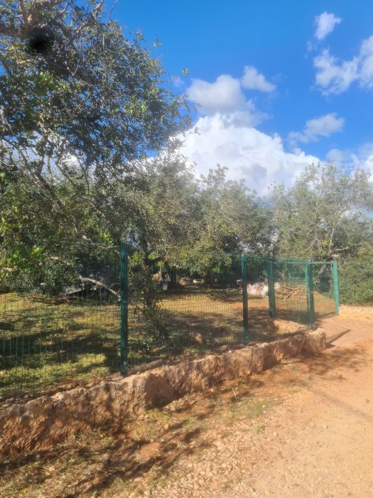 Vendo terreno agrícola